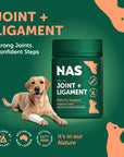 NATURAL ANIMAL SOLUTIONS - Joint & Ligament Support 120g
