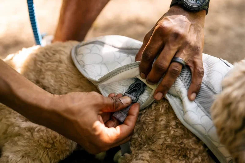 Ruffwear Swamp Cooler Vest