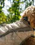 Ruffwear Swamp Cooler Vest