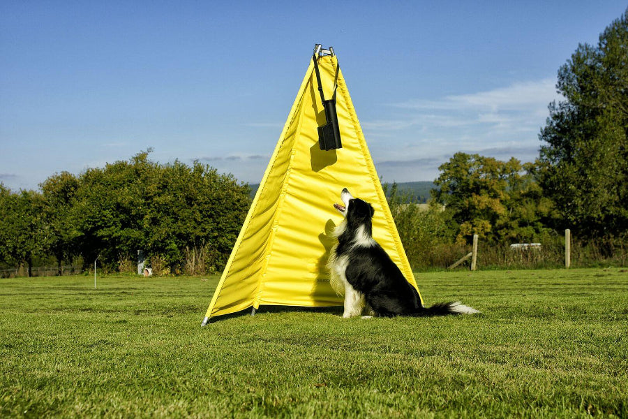 Multi Ball Ball dropper for dogs – K9 Pro - The K9 Professionals
