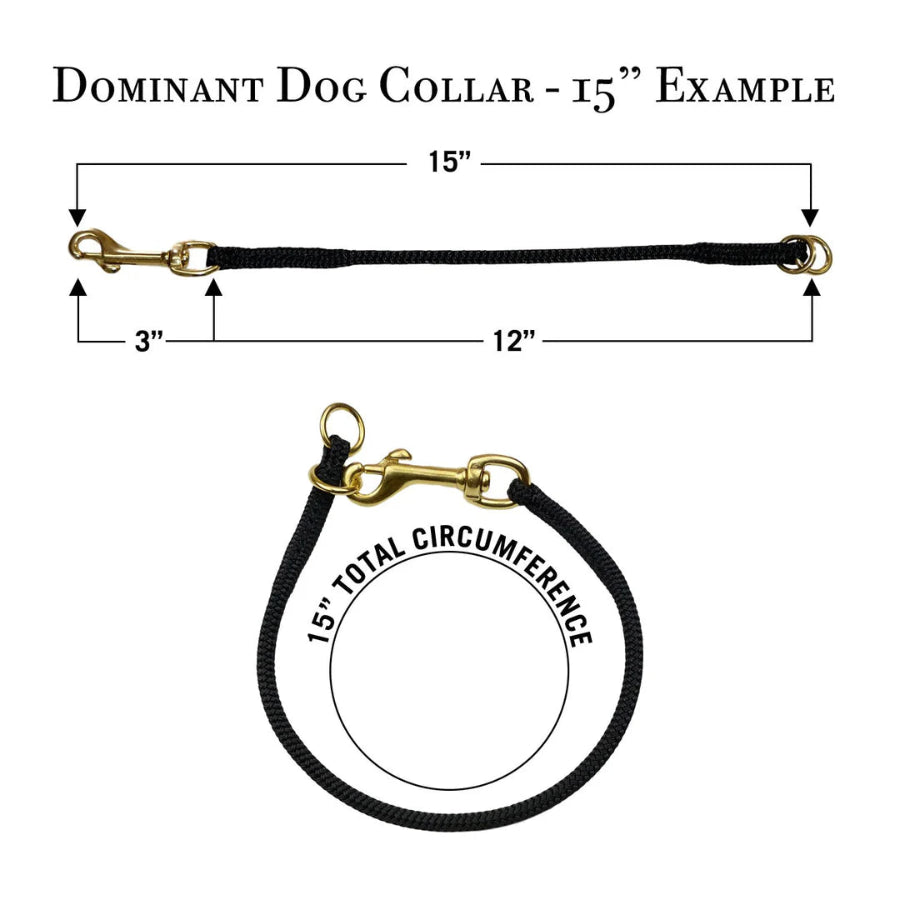 Stabilisation Collar