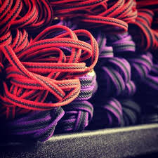 Gripper Leash and Long Line Value Packs