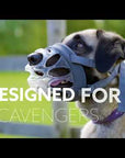 Baskerville INVISA Muzzle - Transparent Muzzle