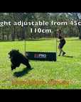 K9 Pro IGP & Obedience Jump