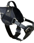 Yurkiw Protection and Tracking Harness with Cobra Buckle