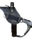 Yurkiw Protection and Tracking Harness with Cobra Buckle