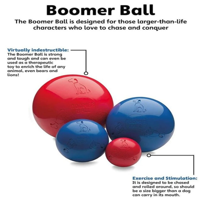 Boomer Ball 