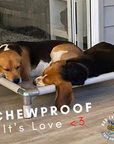 ChewProof Dog Beds 