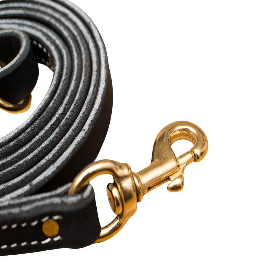 Premium Leather Leash 3/4" Heavy Duty Leash