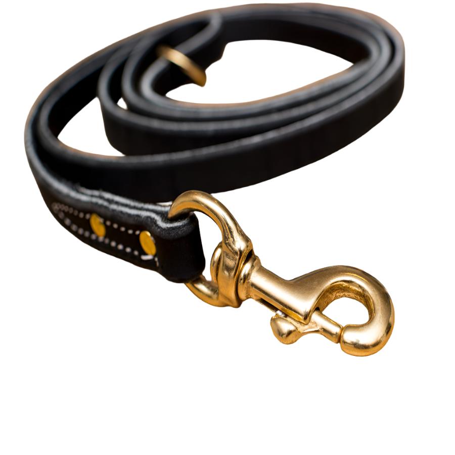 Premium Leather Leash 5/8&quot; General Duty Leash