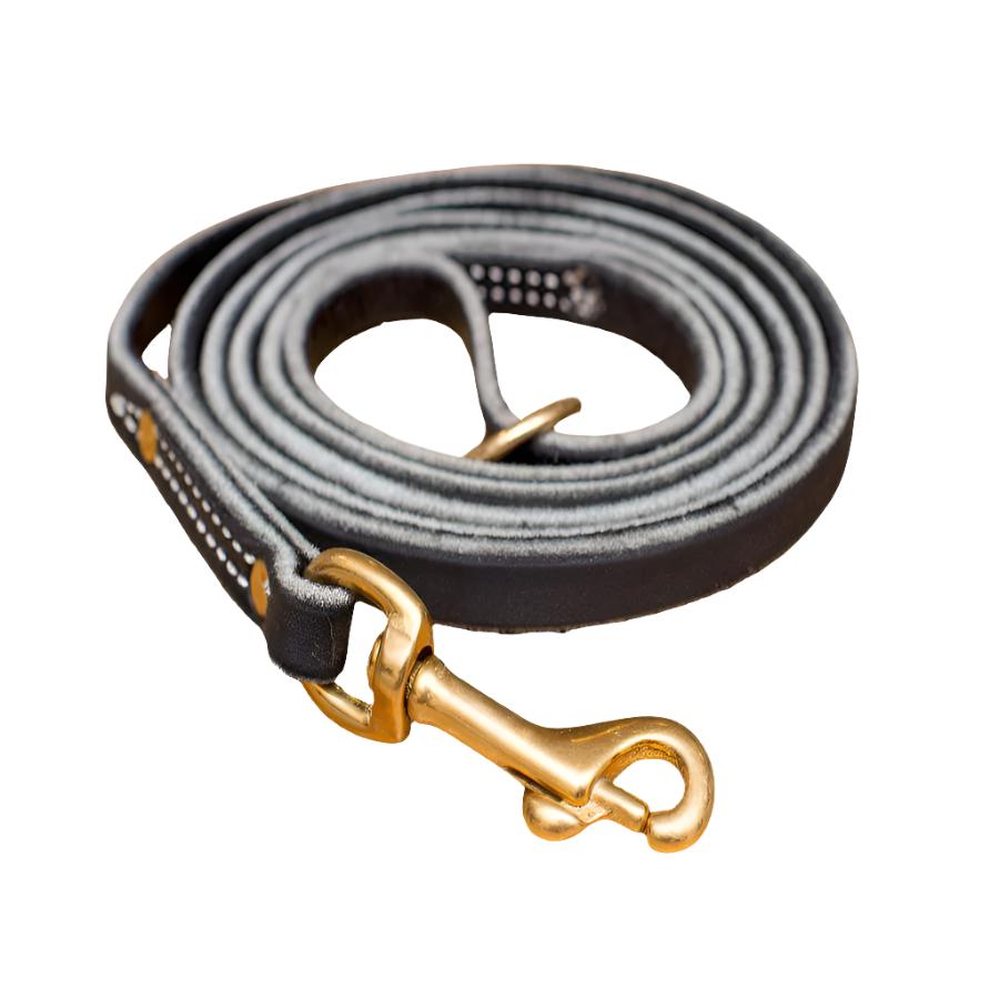 Premium Leather Leash 1/2" 