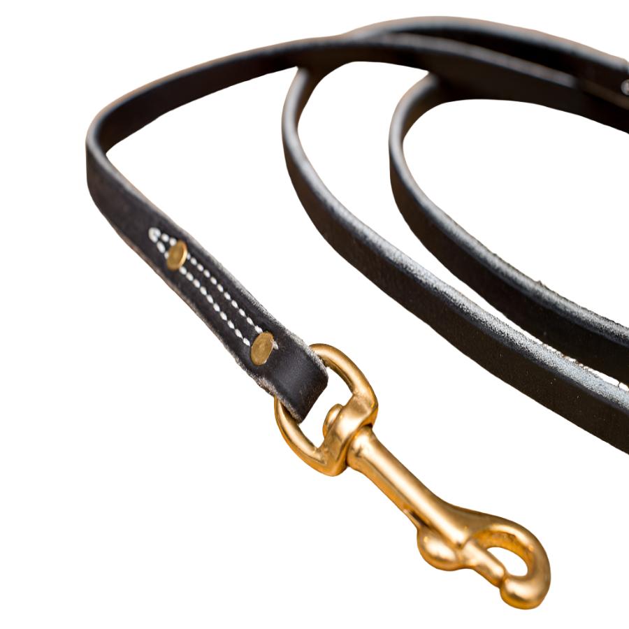 Premium Leather Leash 1/2" 