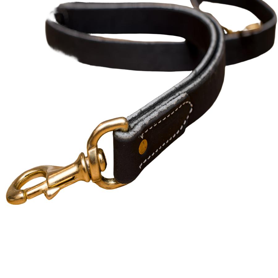 Police Tactical K9 Leash