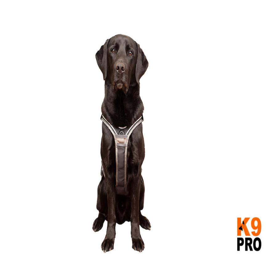 EQDog Pro Harness