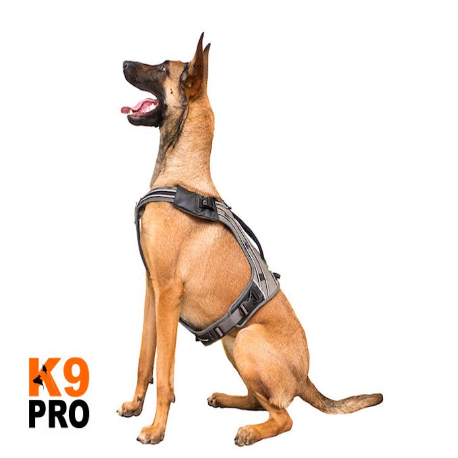 EQDog Pro Harness