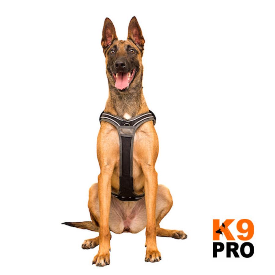 EQDog Pro Harness