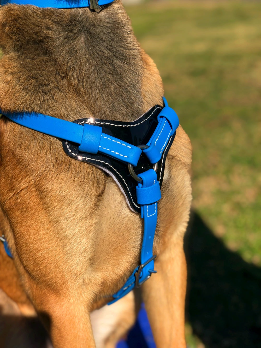 K9 puppy harness best sale