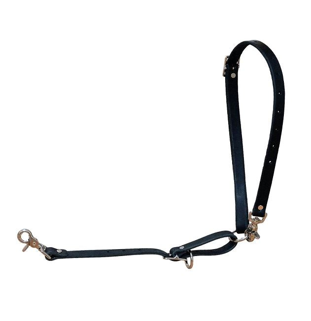 Leather Bottcher Harness
