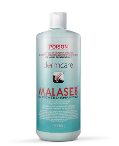 Malaseb Medicated Shampoo 