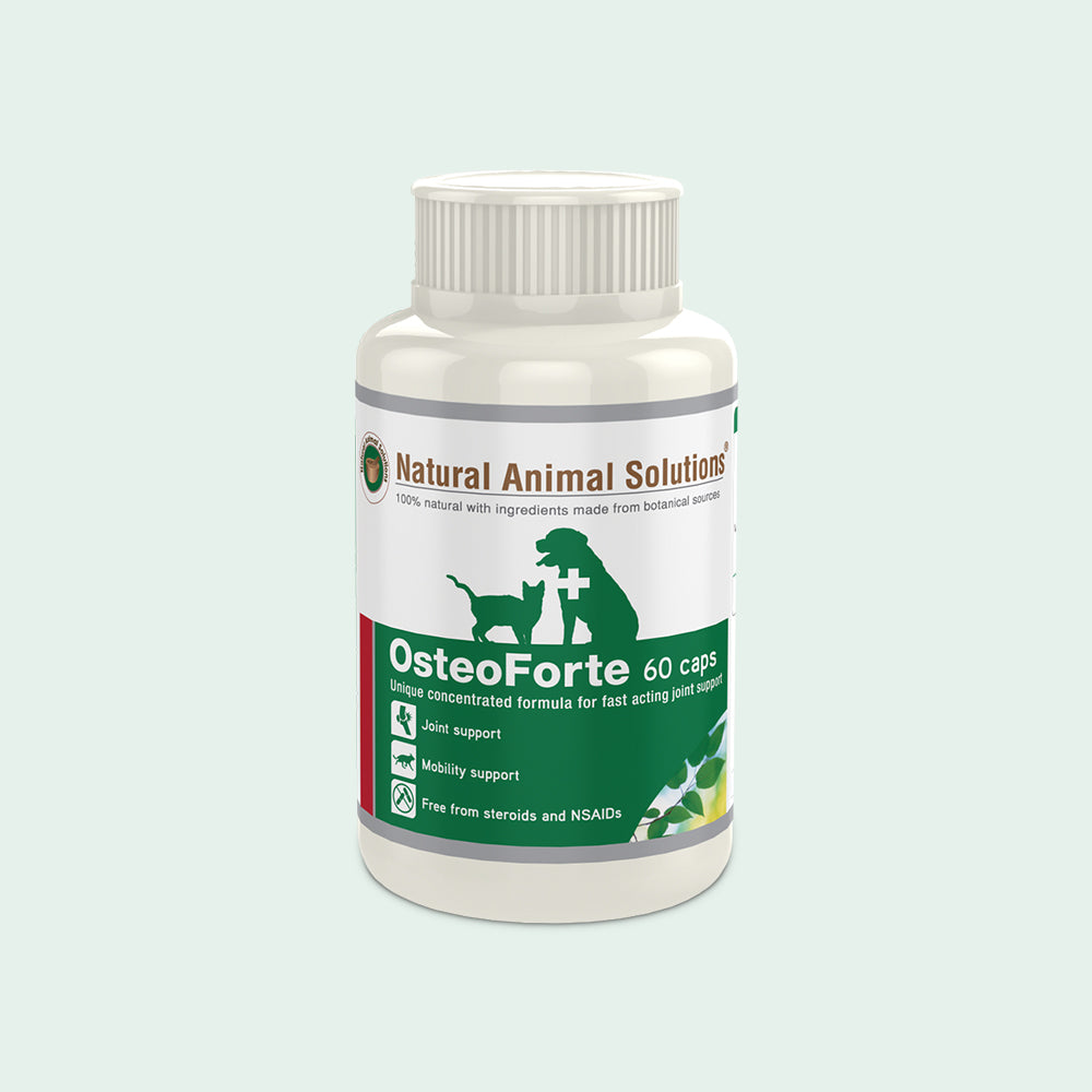 Osteoforte For Dogs - Natural Animal Solutions