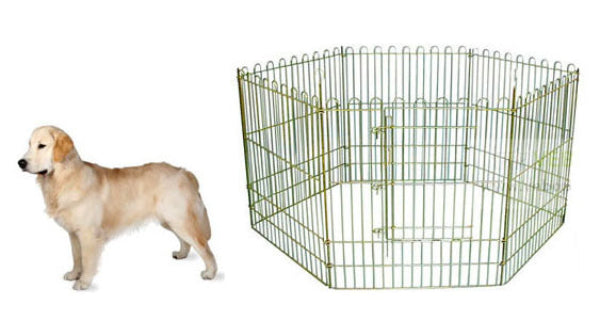 Puppy Pen 