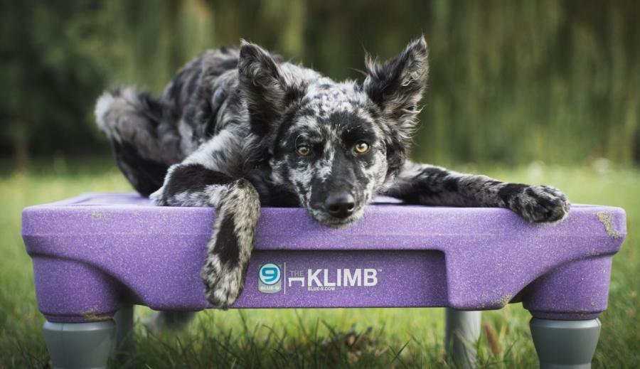 KLIMB Training Platform - PURPLE