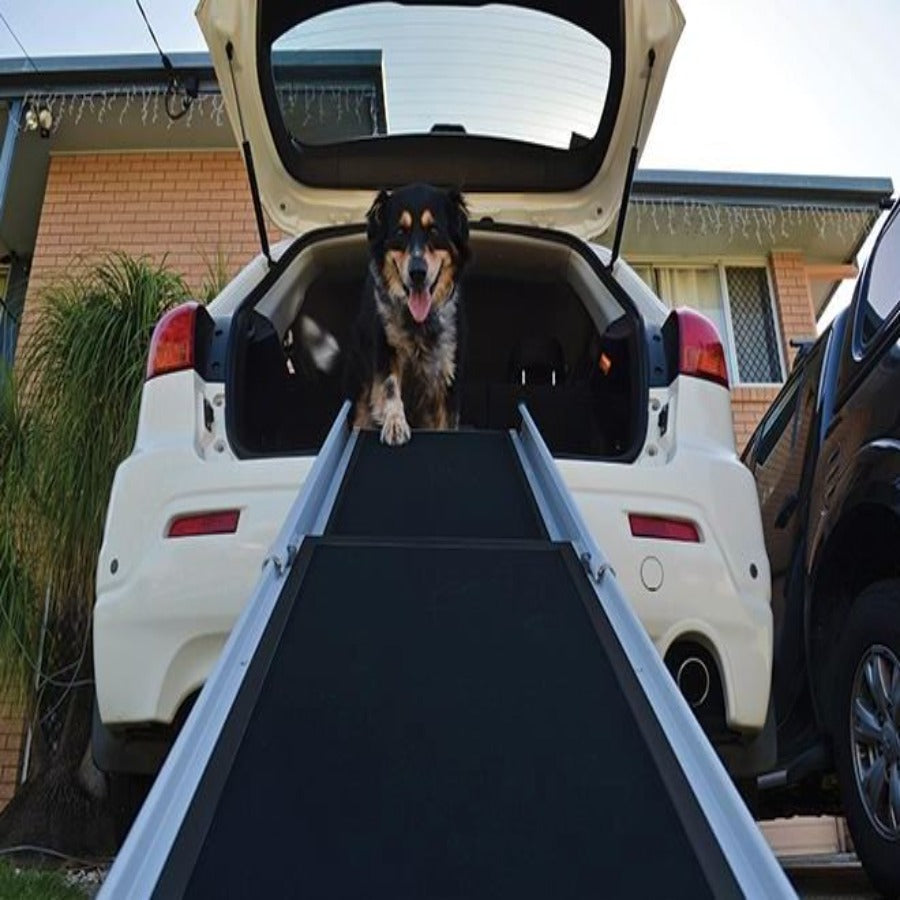 DELUXE TELESCOPING PET RAMP