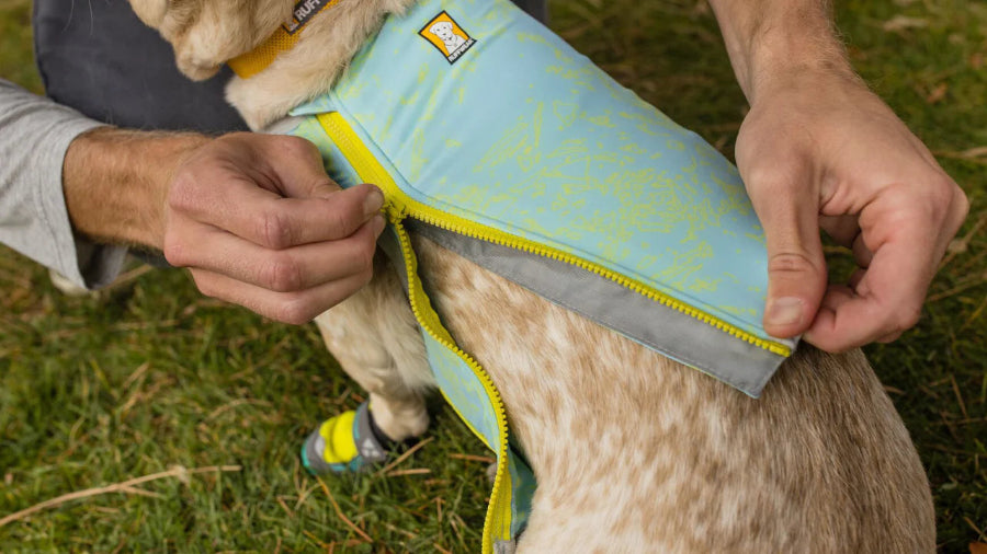 K9 cooling vest best sale