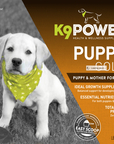 K9 Power Puppy Gold