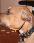 Stabilisation Collar