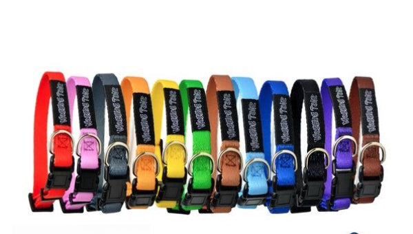 Puppy ID Collars