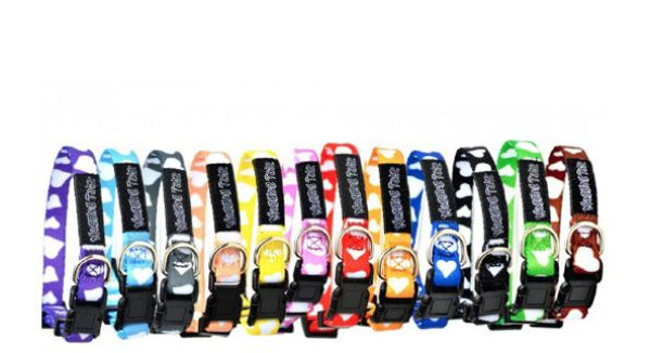 Puppy ID Collars