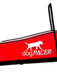 DogPacer Treadmill