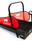 DogPacer Treadmill