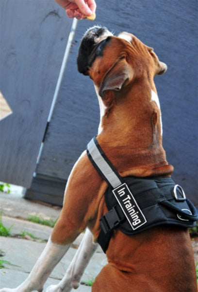 Velcro Patches