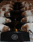Weanafeeda Puppy Feeding System