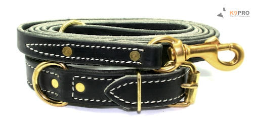 Get a matching leash and collar