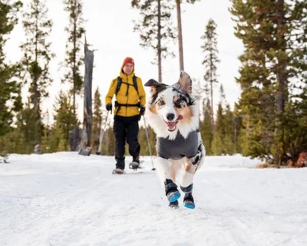 Polar Trex Boots by Ruffwear K9 Pro The K9 Professionals