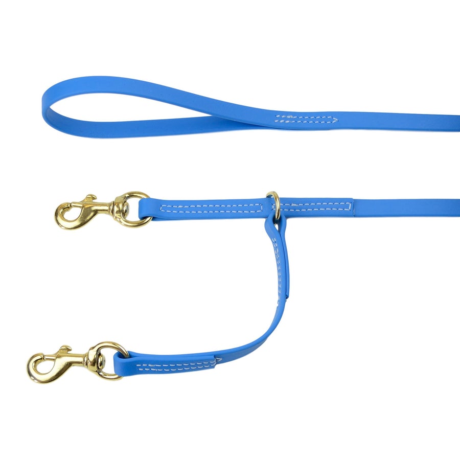 Prong sale collar leash
