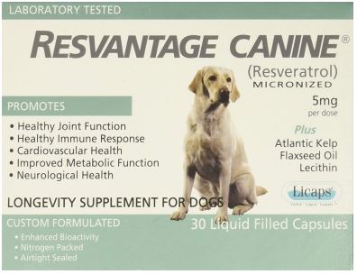 Resvantage Canine - Resveratrol Supplement