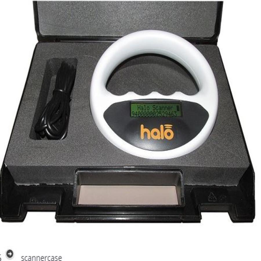 Halo Scanner