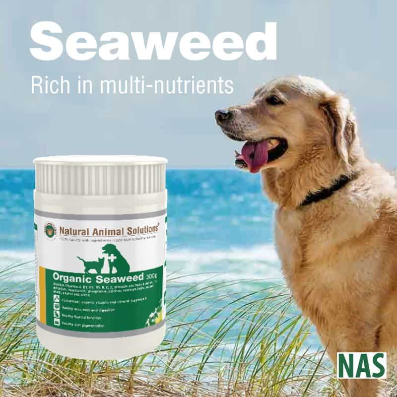 Organic Seaweed - Natural Animal Solutions