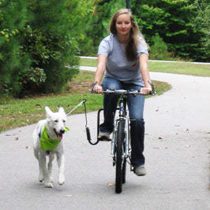 Springer dog hot sale bike attachment