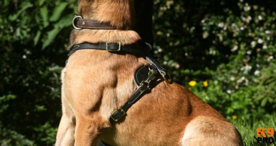 Light Weight Leather Dog Harness K9 PRO – K9 Pro The K9